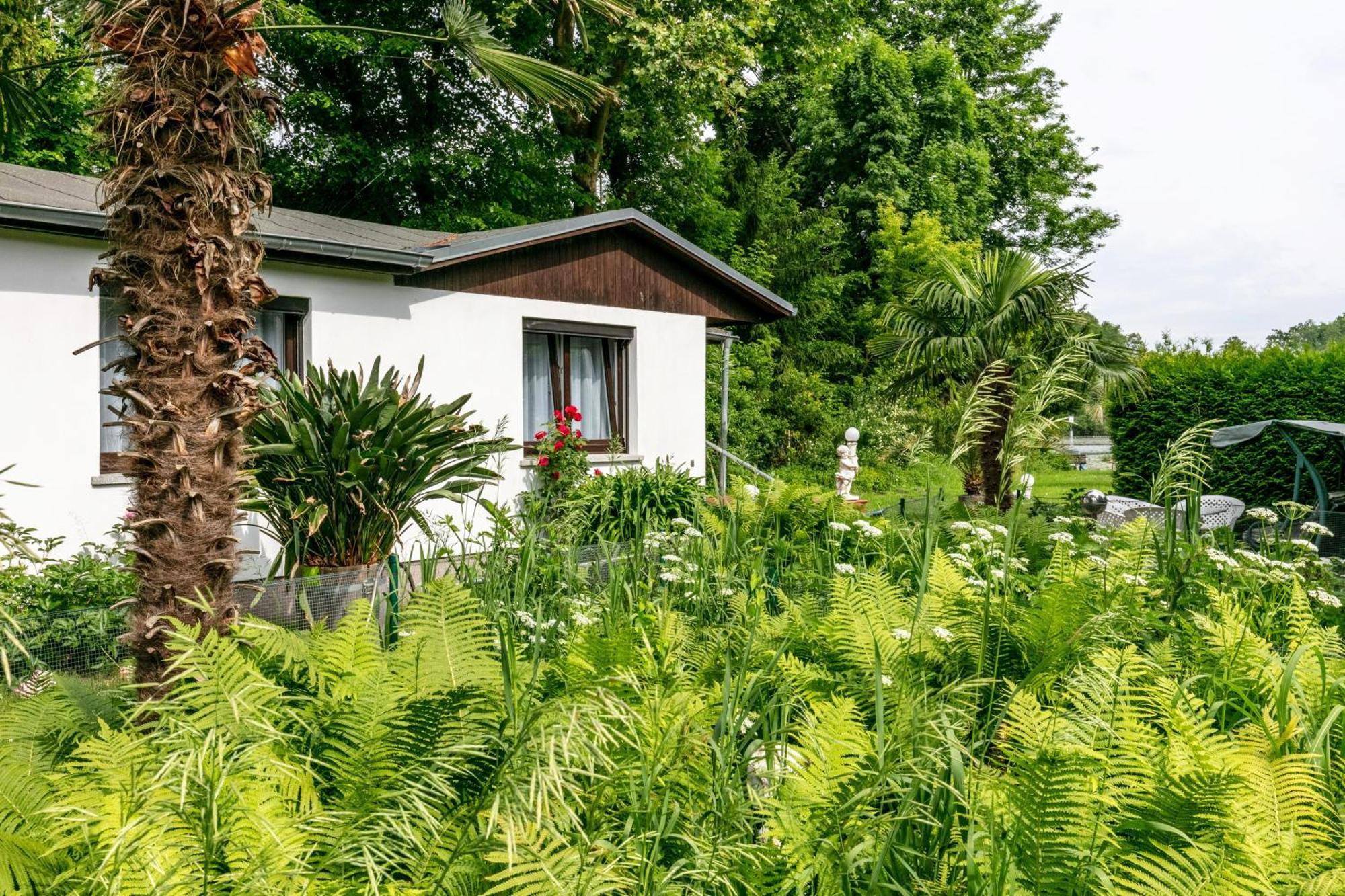 Haus Am See Villa Königs Wusterhausen Esterno foto