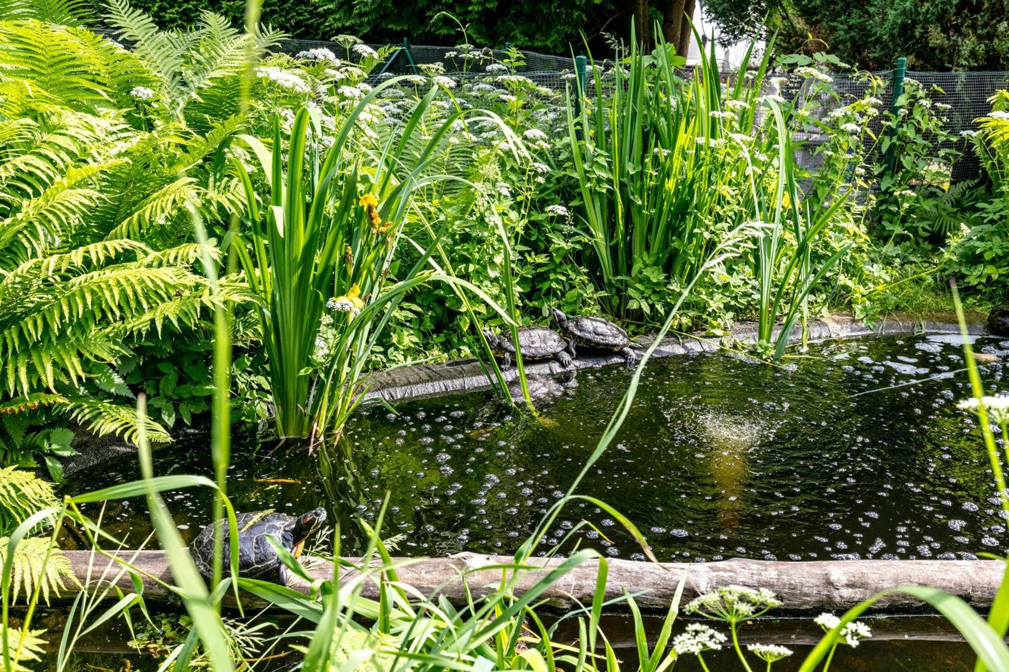Haus Am See Villa Königs Wusterhausen Esterno foto